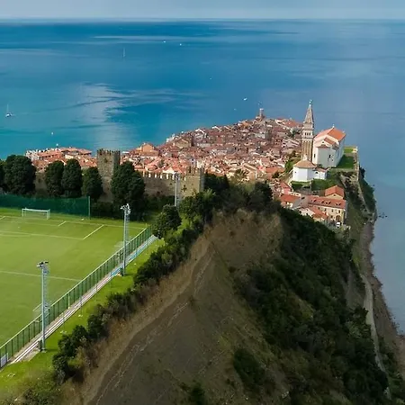 Wine & Olive Oil Mofardin Koper