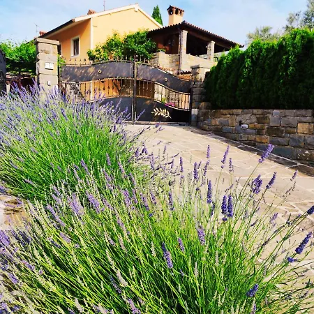 Appartement Wine & Olive Oil Mofardin *