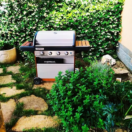 Apartment Wine & Olive Oil Mofardin