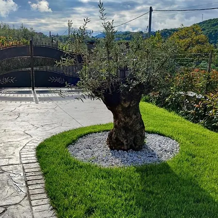 Apartmán Wine & Olive Oil Mofardin Koper