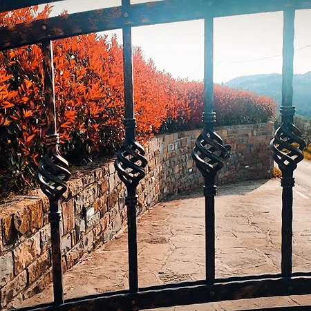 Apartment Wine & Olive Oil Mofardin *