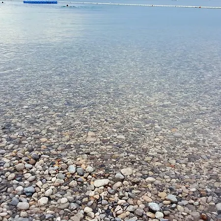 Wine & Olive Oil Mofardin Koper