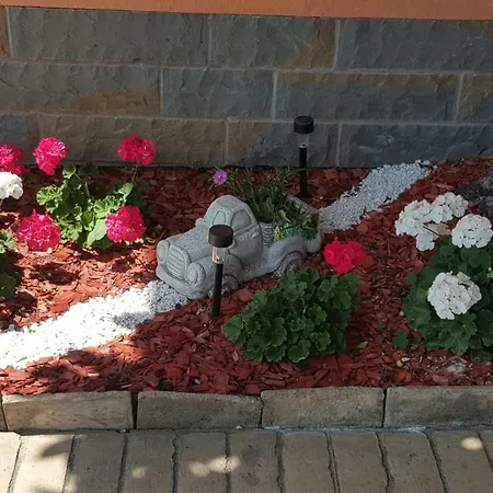 Wine & Olive Oil Mofardin Apartmán