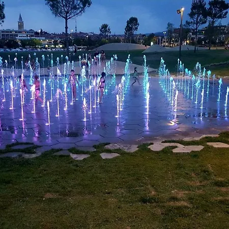 Wine & Olive Oil Mofardin Apartmán *