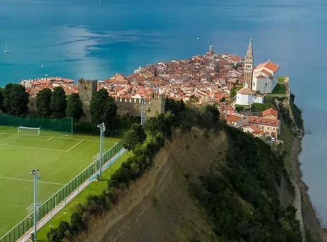 Wine & Olive Oil Mofardin Koper