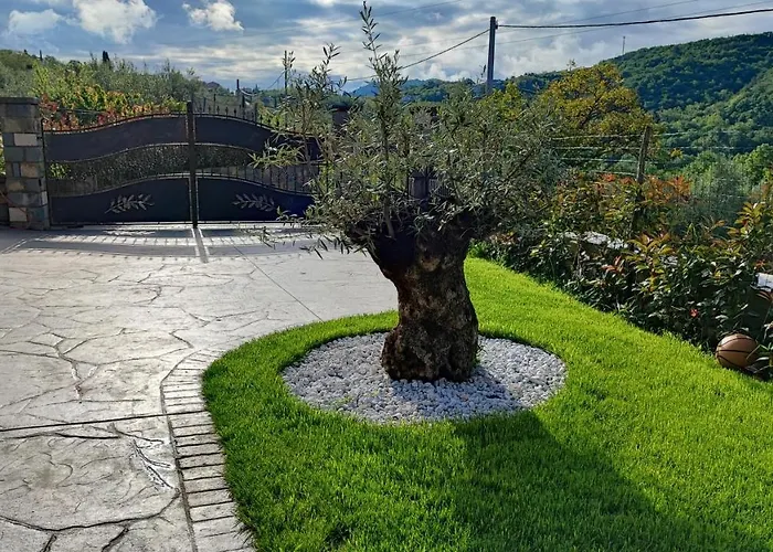 Lejlighed Wine & Olive Oil Mofardin Koper