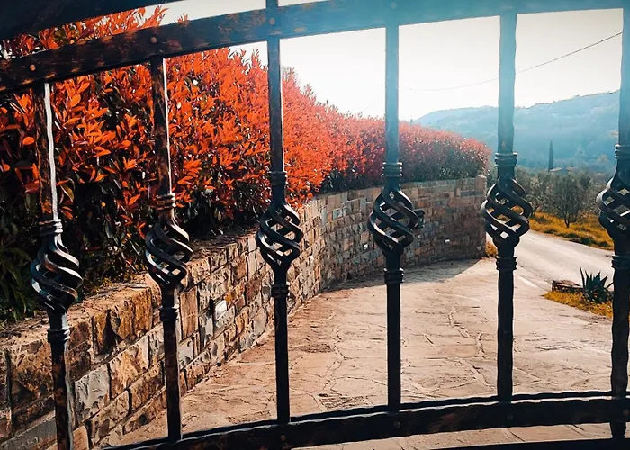 Lejlighed Wine & Olive Oil Mofardin *