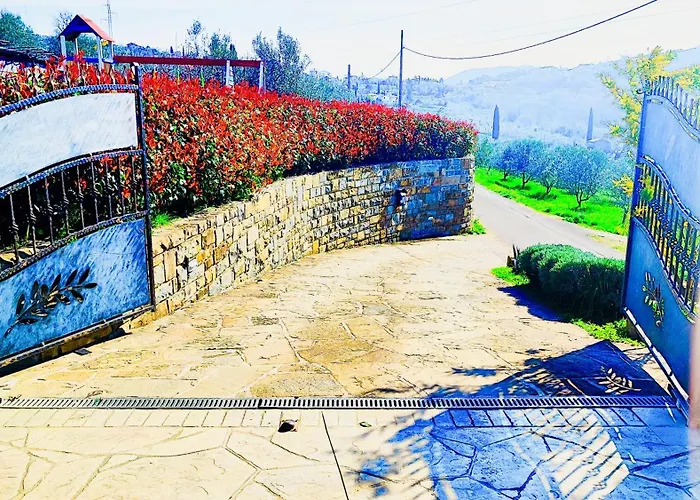 Lejlighed Wine & Olive Oil Mofardin Koper