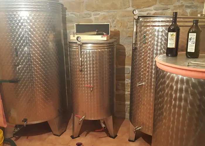 Wine & Olive Oil Mofardin Lejlighed Koper