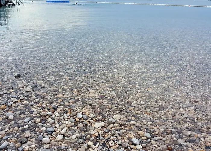 Wine & Olive Oil Mofardin Koper